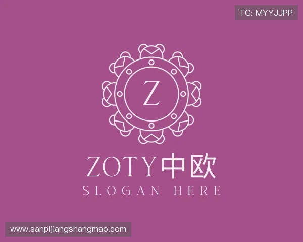 解读zoty中欧平台
